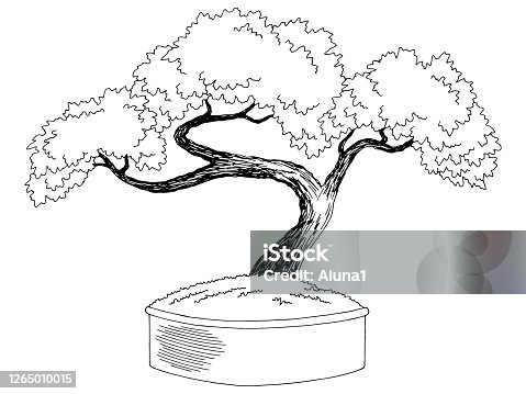 Free Bonsai Tree Clipart In Ai Svg Eps Or Psd