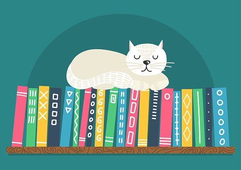 Books on shelf with white cat