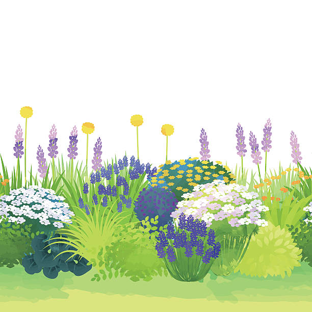 국경 정원 - garden stock illustrations