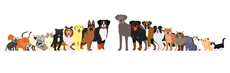 Free Shiba Inu Dog Flat Cartoon Breed Clipart in AI, SVG, EPS or PSD