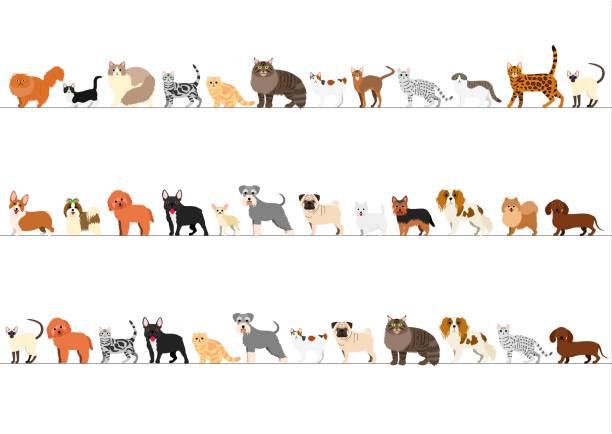 Border of small dogs and cats arranged in order of height Border of various  small dogs and cats arranged in order of height. dog borders stock illustrations