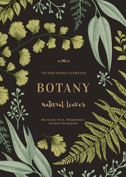 botanische illustration mit blättern. - botanik stock-grafiken, -clipart, -cartoons und -symbole