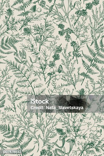 istock Botanical seamless hand-drawn pattern. 1307878032