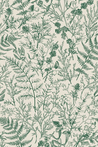 Botanical seamless hand-drawn pattern with coniferous branches, plants and berries. Vintage engraving style. Vertical format. Monochrome graphics. Vector illustration.