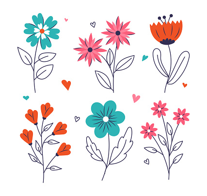 Botanical set of garden floral plants. Blooming plants with bright petals and linear leaves. Spring sticker for diary or printing on fabric. Cartoon flat vector collection isolated on white background