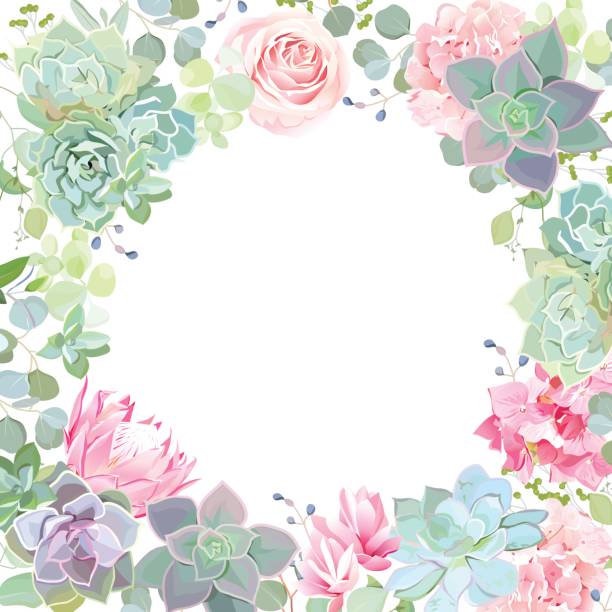 Botanical style banner with flower mix Green colorful succulents vector design card. Echeveria, protea, eucalyptus, hydrangea, rose. Botanical style banner with flower mix. Modern funky cactus blank. All elements are isolated and editable cactus borders stock illustrations
