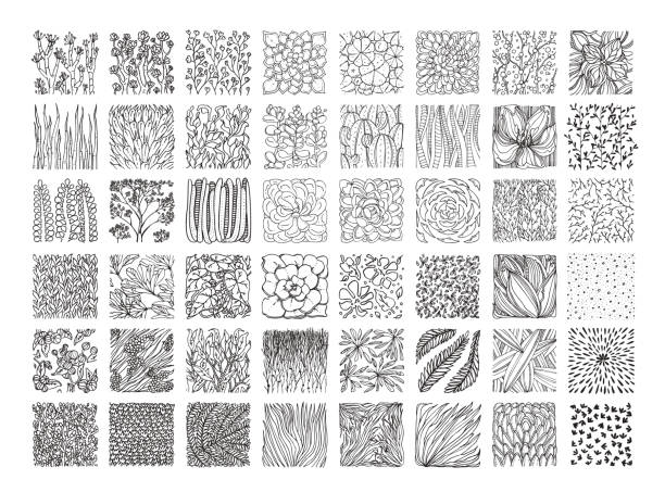 Botanical textures, floral patterns, tropical plants ornaments. Vector clipart collection isolatad on white background. Botanical vector textures for organic branding, fashion textile and floral prints. Big collection of hand drawn floral ornament, herbal pattern, plant ornamentation isolated on black background. cactus backgrounds stock illustrations