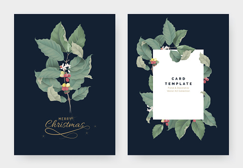Botanical typographic Christmas greeting card template design, branch of coffee tree on dark blue, vintage style