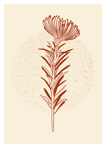 Botanical wall art vector poster. Abstract design. Vector illustration.
