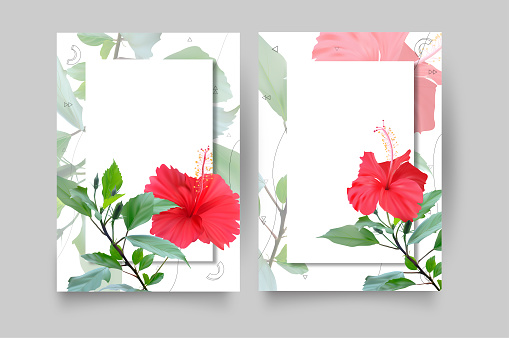 Botanical wall art vector set. Abstract Plant Art design for wall framed prints, canvas prints, poster, home décor, cover, wallpaper, Hibiscus.
