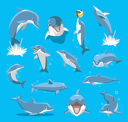 Bottlenose Dolphin Ball Cute Cartoon Vector Illustration