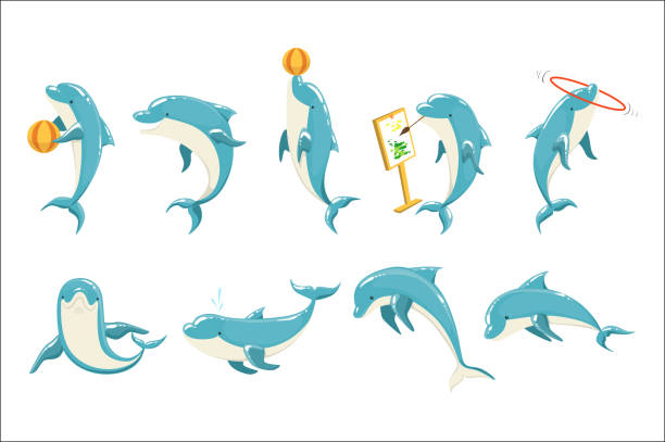 Bottlenose Dolphin Performing Tricks Set of Illustrations Bottlenose Dolphin Performing Tricks Set of Illustrations. Collection Of Marine Animal Stickers In Simple Realistic Style On Blue Background. dolphin stock illustrations