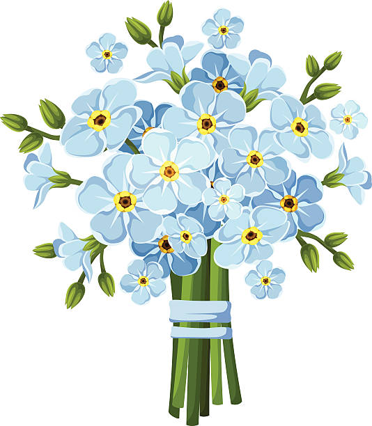 Forget Me Not Clip Art, Vector Images & Illustrations - iStock