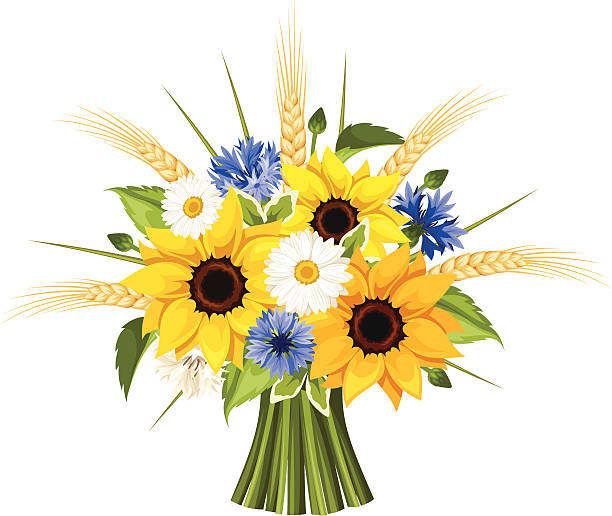 Sunflower Bouquet Illustrations, Royalty-Free Vector ...