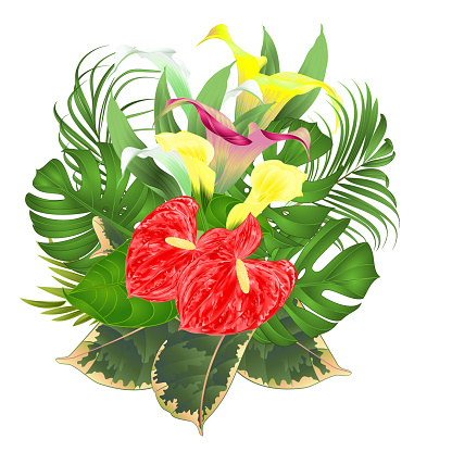 Bouquet with tropical flowers  floral arrangement, with beautiful white pink and yellow lilies Cala and anthurium, palm,philodendron and ficus vintage vector illustration  editable