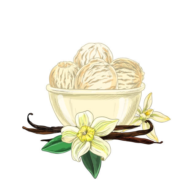 Bowl with ice cream, vanilla flowers and beans are below Bowl with ice cream, vanilla flowers and beans are below, full color sketch, hand drawn vector illustration bowl of ice cream stock illustrations