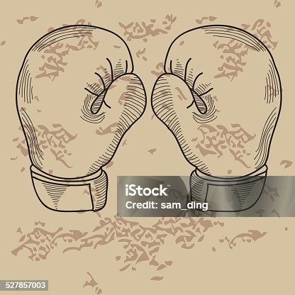 istock boxing gloves 527857003
