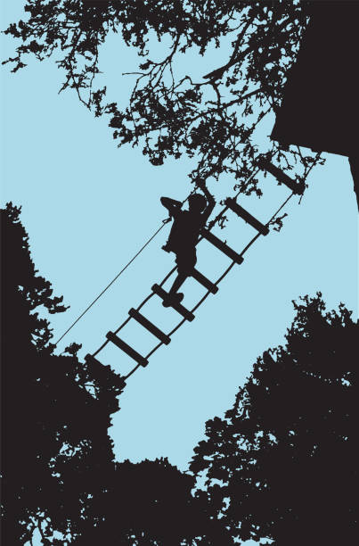 stockillustraties, clipart, cartoons en iconen met jongen op een ladder op een hindernissenparcours in een boomtoppen - klimbos