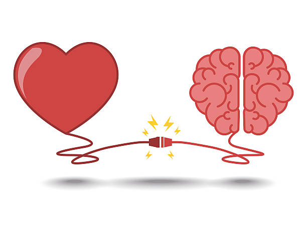 stockillustraties, clipart, cartoons en iconen met brain and heart interactions concept best teamwork - netwerk hart
