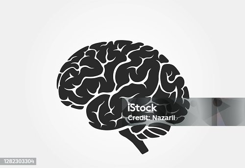 istock brain icon, side view. mind, psychology and medical symbol 1282303304