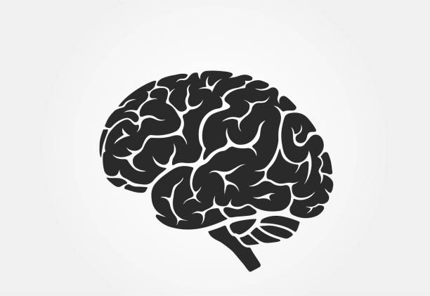 두뇌 아이콘, 측면 보기. 마음, 심리학 및 의료 기호 - brain stock illustrations
