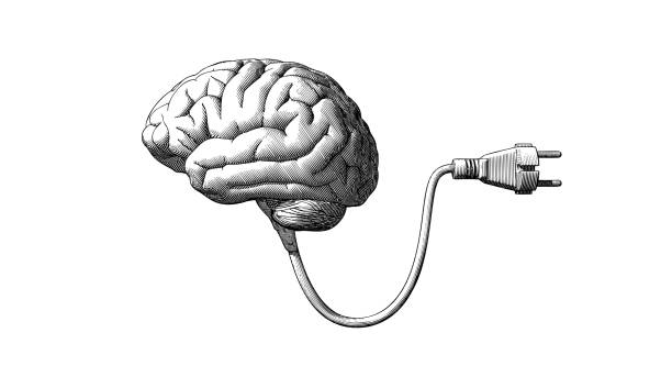 Brain with electric plug vintage drawing illustration Monochrome vintage engraving drawing human brain connected with electric plug cable illustration isolated on white background brain backgrounds stock illustrations