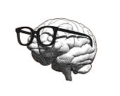 Monochrome retro engraving human brain with old retro glasses illustration in side view isolated on white background