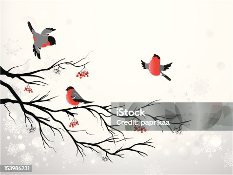 istock Branch and birds bullfinch 153986231