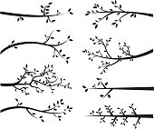 The vector for Branch Silhouettes