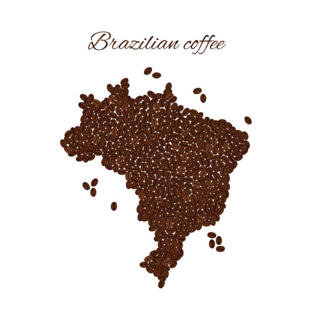 ilustrações de stock, clip art, desenhos animados e ícones de brazilian coffee. map of brazil created from coffee beans isolated on a white background. - cafe brasil
