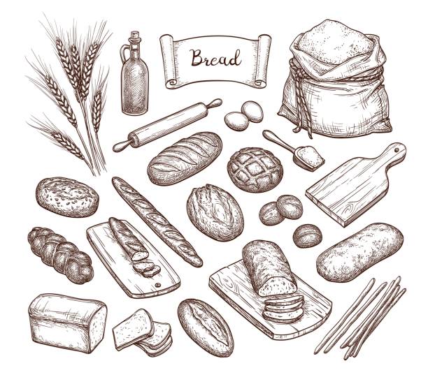 Bread and Ingredients. Bread and Ingredients. Big set. Hand drawn vector illustration. Isolated on white background. Vintage style. bakery illustrations stock illustrations