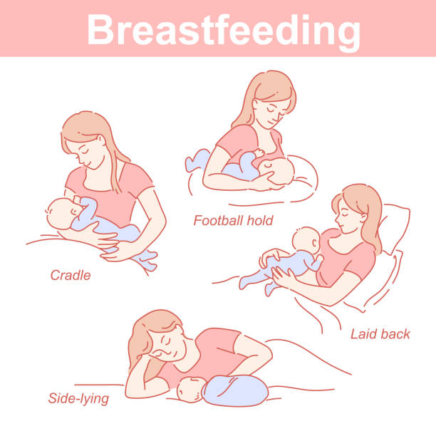 illustrazioni stock, clip art, cartoni animati e icone di tendenza di posizioni di allattamento al seno impostate. madre e bambino insieme. infografica per l'inizio dell'alimentazione. - allattamento