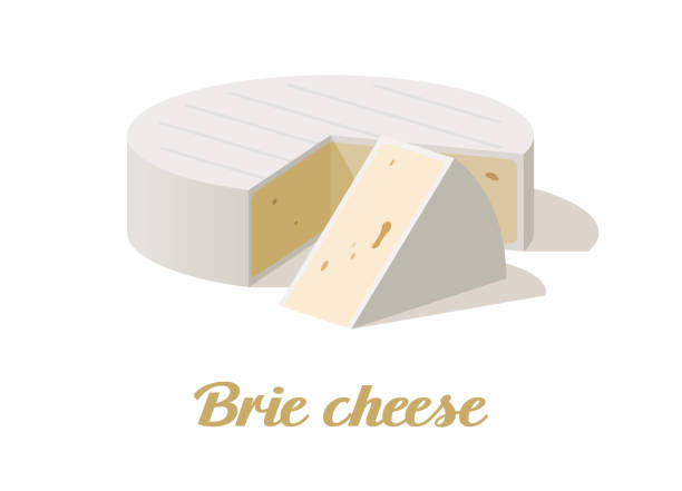 Brie cheese. Realistic cheese on white background. Vector illustration Brie cheese. Realistic cheese on white background. Vector illustration. Collection brie stock illustrations