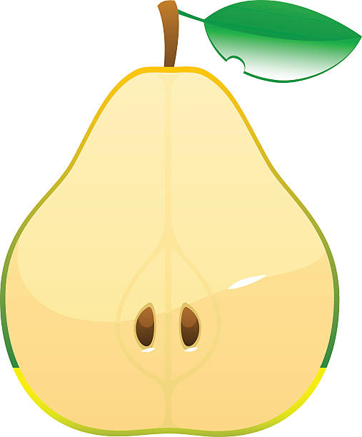 bright juicy tasty green pear cartoon isolated - roma 幅插畫檔、美工圖案、卡通及圖標