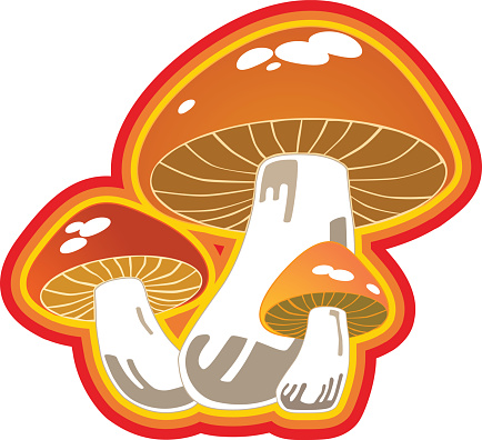 Bright Mushrooms 3