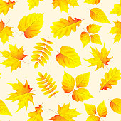Vector seamless pattern with yellow and red maple, oak, rowan and other leaves on the light yellow background. Autumn bright texture.