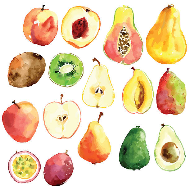 ilustrações de stock, clip art, desenhos animados e ícones de vector brilhante em aquarela mão desenhada frutas: maçã e pêra, cor de pêssego, - granadilla