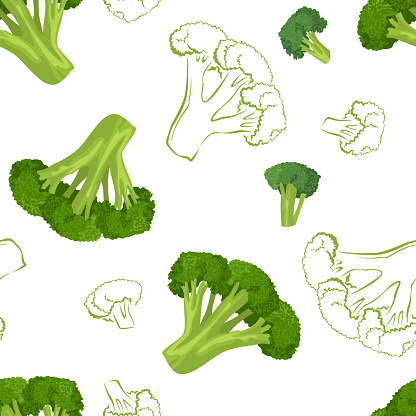 Broccoli seamless pattern on white background. Vector illustration of green cabbage  in cartoon simple flat style and outline image. Fresh vegetables.