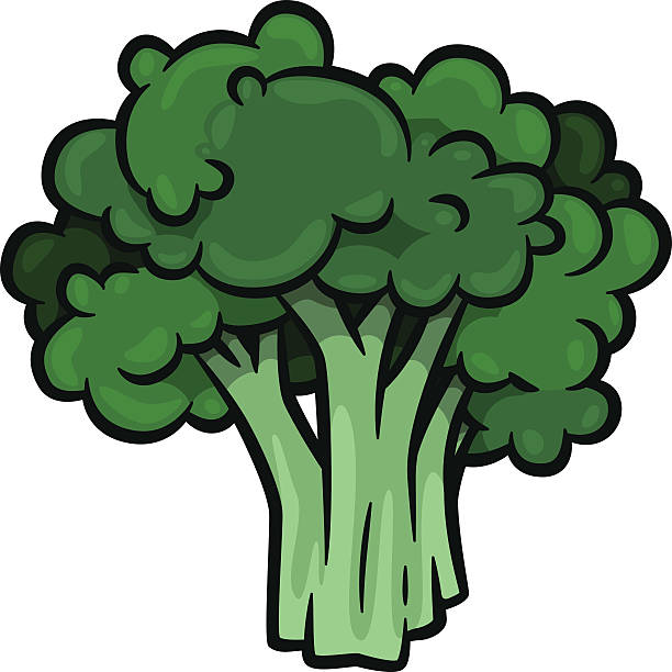 Broccoli vector art illustration