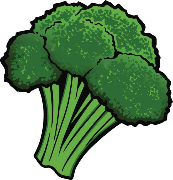 Broccoli Clip Art Vector Images Illustrations iStock Broccoli Clip Art Vector Images Illustrations iStock