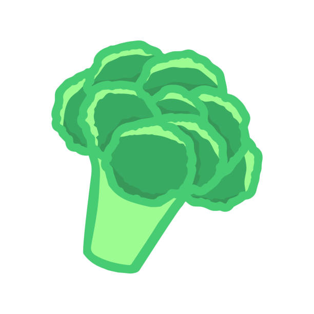stockillustraties, clipart, cartoons en iconen met broccoli vector geïsoleerd pictogram op witte achtergrond. - vegan keto