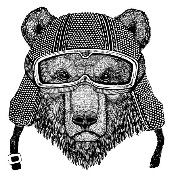 Brown bear Russian bear Animal wearing motorycle helmet. Image for kindergarten children clothing, kids. T-shirt, tattoo, emblem, badge, , patch vector art illustration