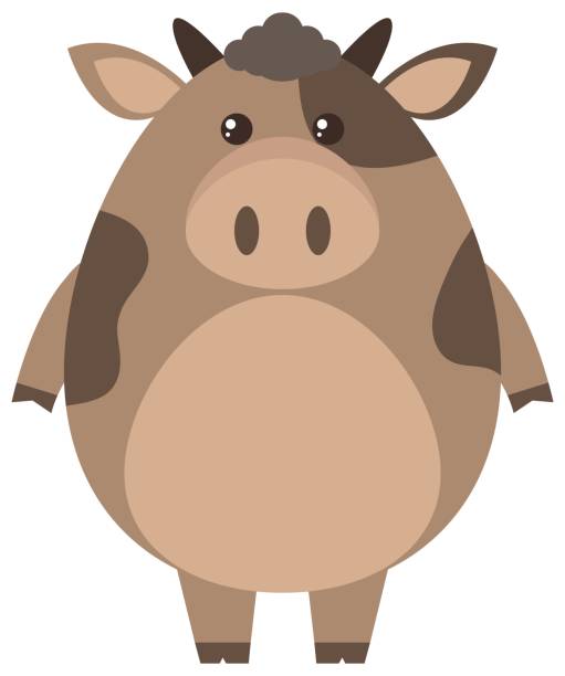 Brown cow on white background Brown cow on white background illustration brown cow stock illustrations