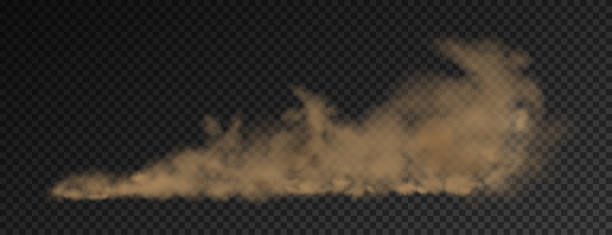 Brown dust plume cloud on transparent background A brown dust plume cloud on a transparent background with copy space. Vector illustrstion dirt road stock illustrations