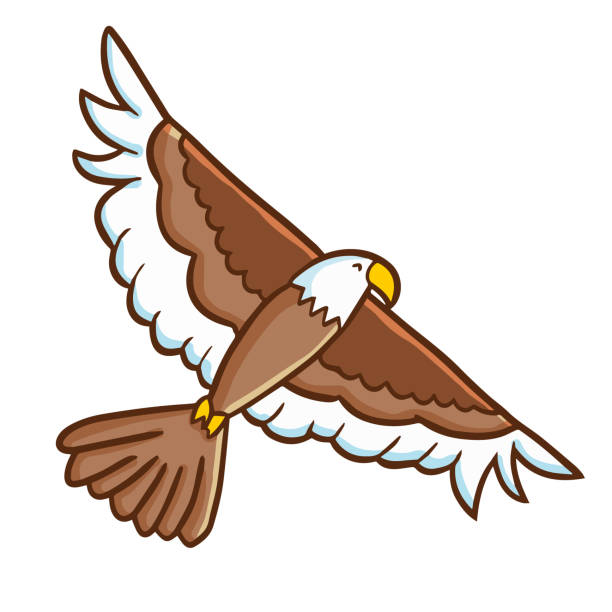 stockillustraties, clipart, cartoons en iconen met bruin eagle vliegen - eagle cartoon