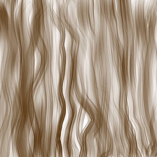 Brown Wave Background, Brown Lace Curtain Pattern. Brown Hand Drawn Abstract Modern Vector Background. Transparent Layered Abstract Business Template Brochure Flyer Background. Brown Wave Background, Brown Lace Curtain Pattern. Brown Hand Drawn Abstract Modern Vector Background. Transparent Layered Abstract Business Template Brochure Flyer Background. hair structure stock illustrations