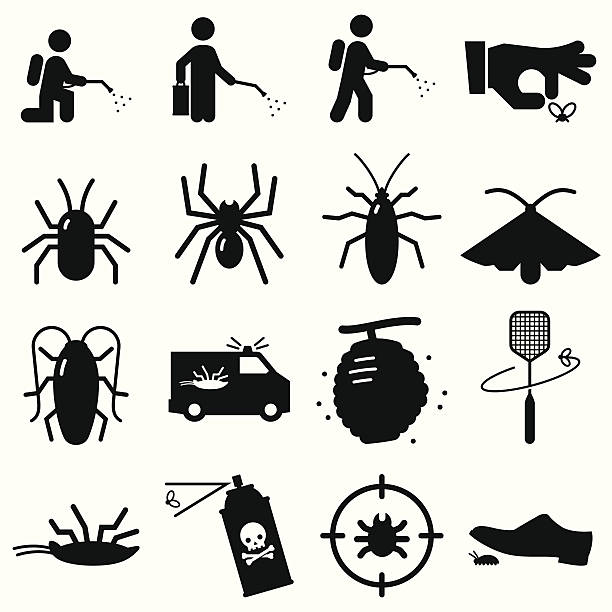 stockillustraties, clipart, cartoons en iconen met bug exterminators - black series - vliegenmepper