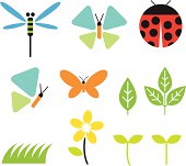 Illustration of bugs and garden graphic elements: dragonfly, butterfly, ladybug, leaf, plants, grass, flower and buds.