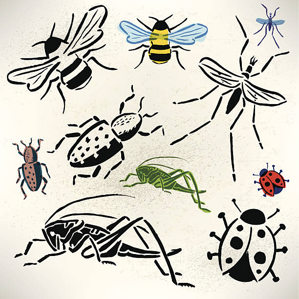 Bugs - Grasshopper, Beetle, Lady Bug, Bumble Bee, Mosquito Bugs - Grasshopper, Beetle, Lady Bug, Bumble Bee, Mosquito Pen and Ink illustrations. Check out my "Vectors Animals & Insects" light box for more. bee silhouettes stock illustrations