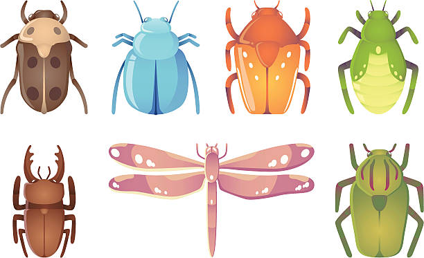 Bugs Vector illustration of sevenl bugs emerald ash borer stock illustrations